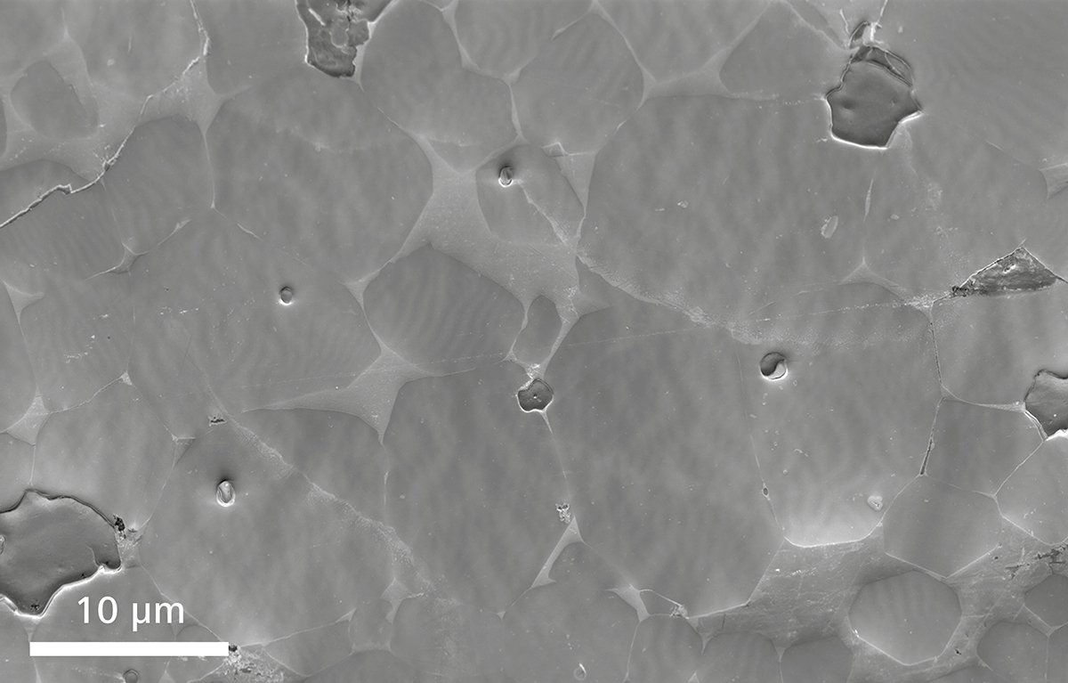场发射宣城扫描电镜