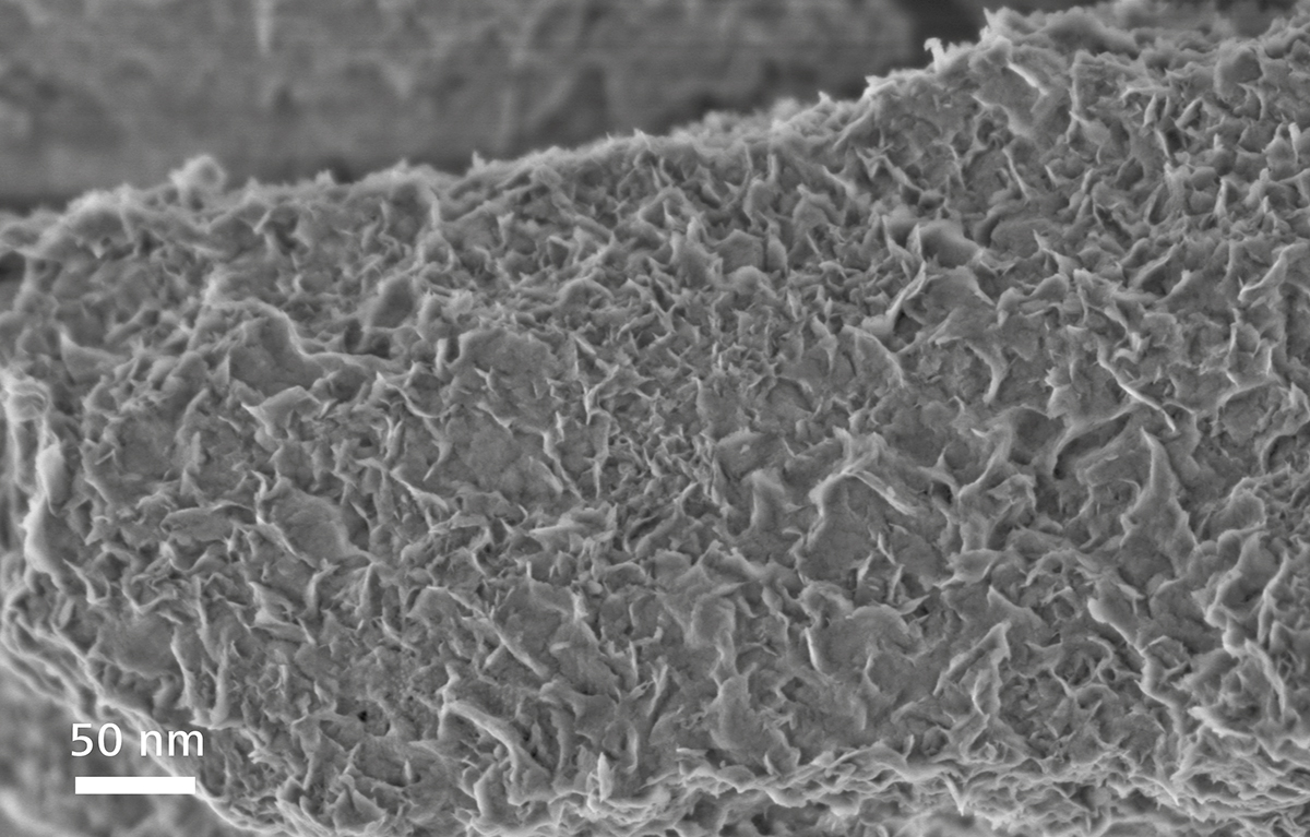 场发射宣城扫描电镜