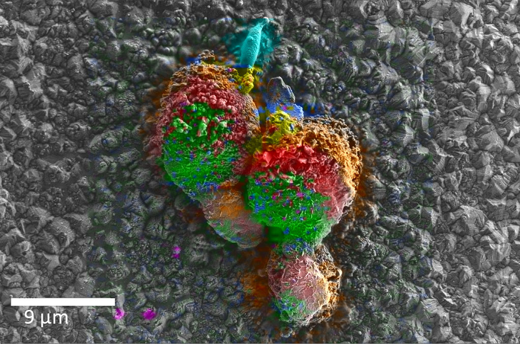 宣城宣城蔡司宣城扫描电镜
