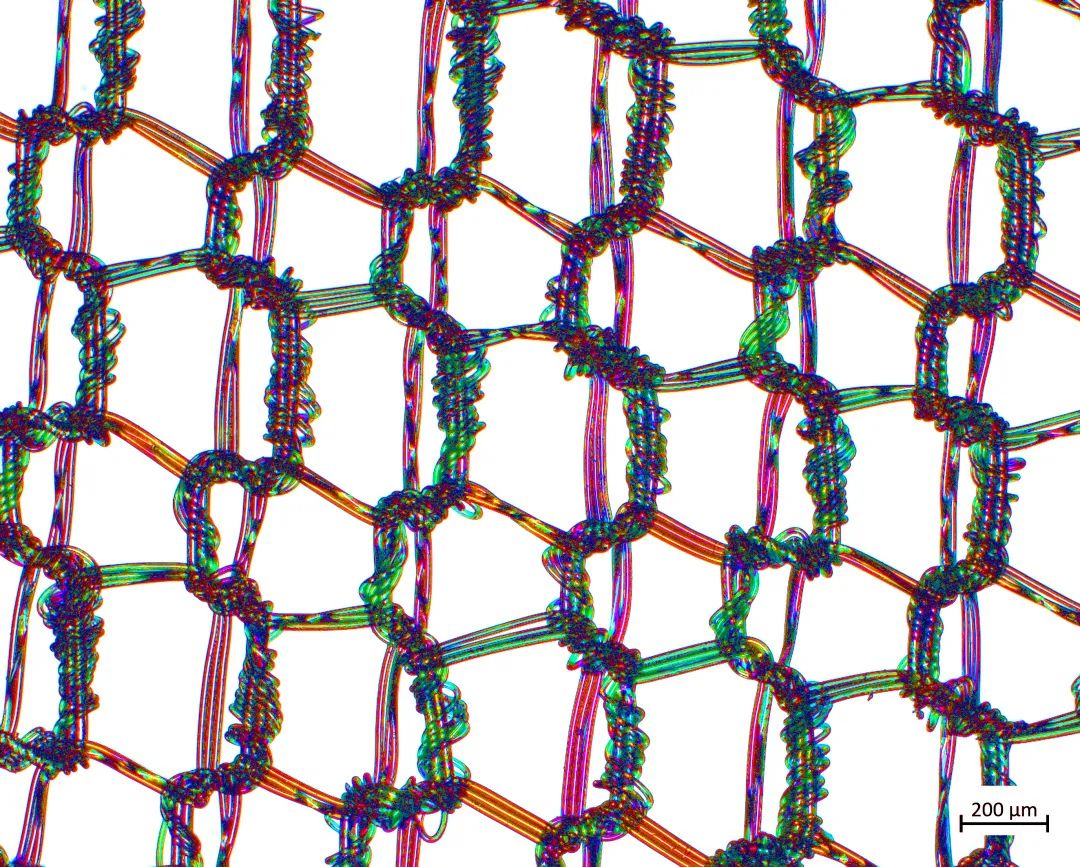 宣城蔡司场发射宣城扫描电镜