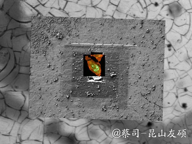 宣城宣城蔡司宣城扫描电镜 宣城宣城蔡司宣城扫描电镜