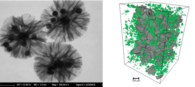 宣城宣城蔡司宣城扫描电镜 宣城宣城蔡司宣城扫描电镜