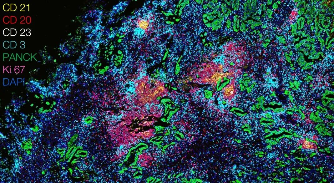 宣城宣城蔡司显微镜 宣城宣城蔡司显微镜