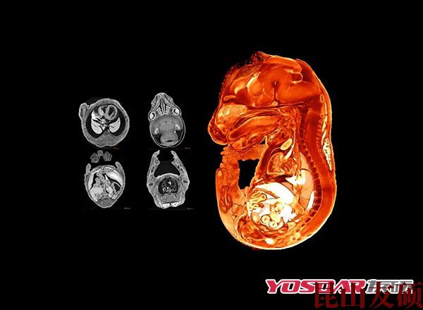 1670383354747951.jpg 640-(3).jpg