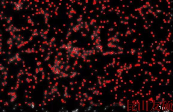 1678845149937431.jpg 640 (2).jpg