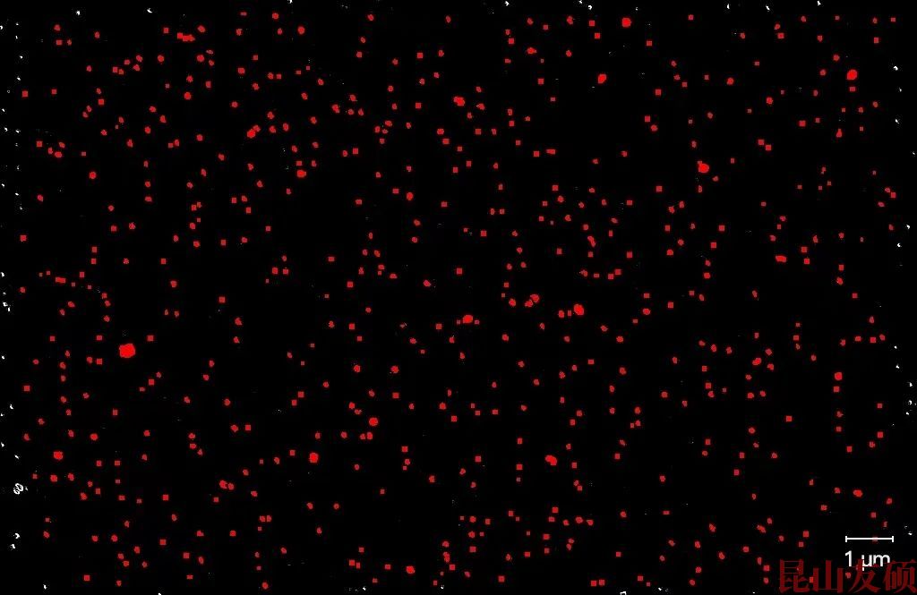 宣城宣城蔡司宣城扫描电镜 宣城宣城蔡司宣城扫描电镜