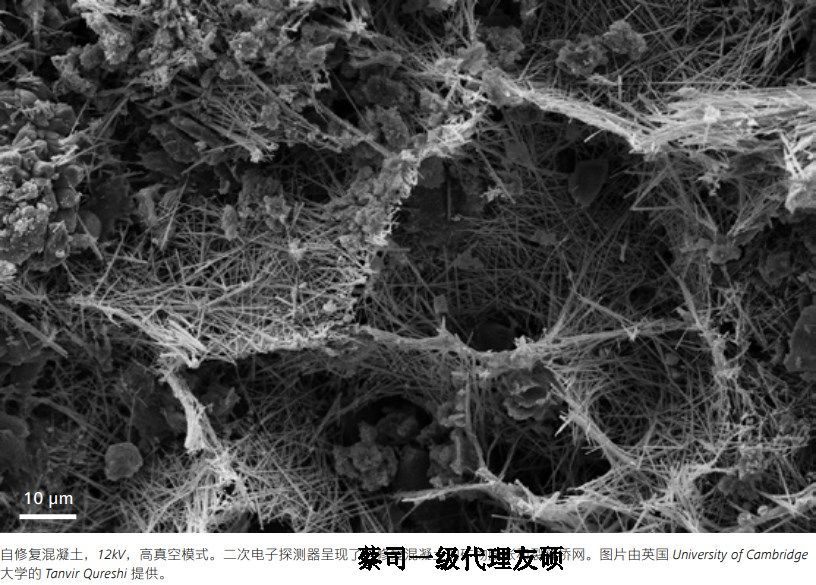 宣城宣城蔡司宣城扫描电镜