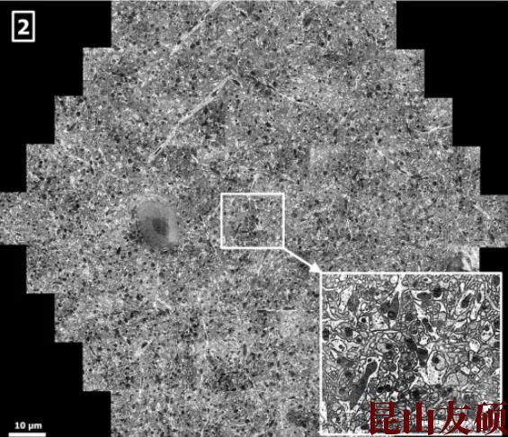 1727335778182642.jpg 360截图20240926152903909.jpg