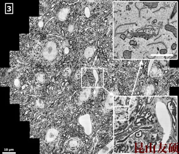 1727335789788984.jpg 360截图20240926152916473.jpg